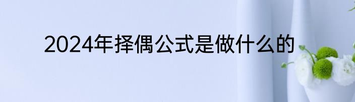 2024年择偶公式是做什么的