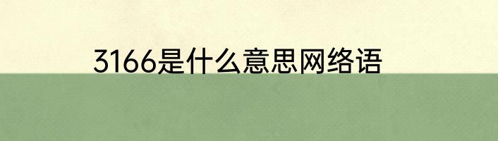 3166是什么意思网络语