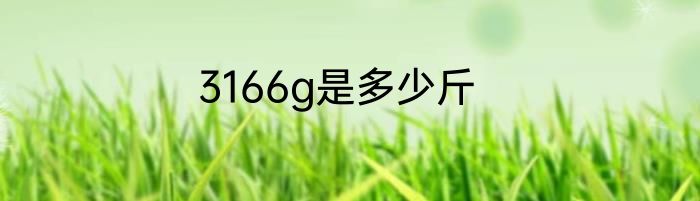 3166g是多少斤