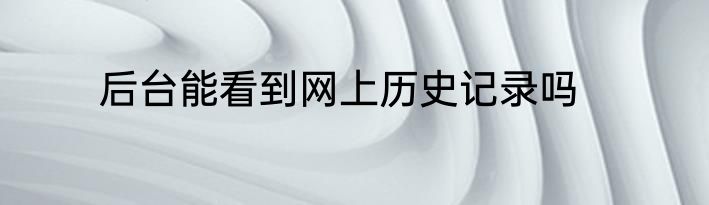 后台能看到网上历史记录吗