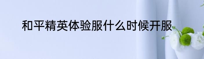 和平精英体验服什么时候开服