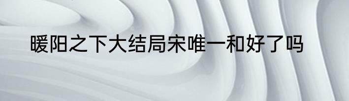 暖阳之下大结局宋唯一和好了吗