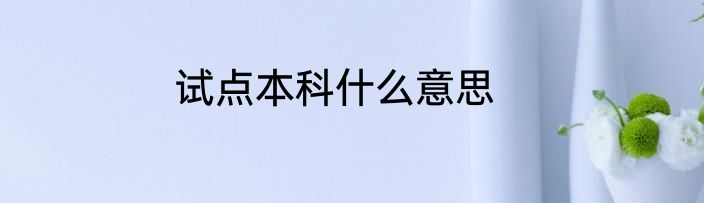 试点本科什么意思