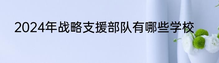 2024年战略支援部队有哪些学校