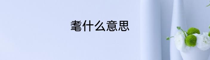 耄什么意思