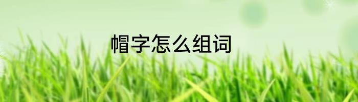 帽字怎么组词