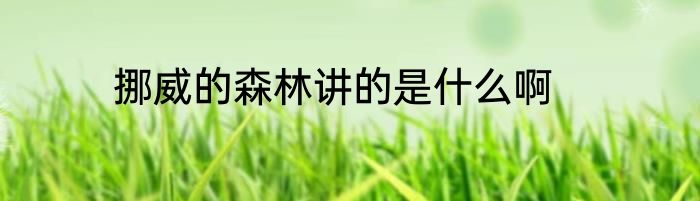 挪威的森林讲的是什么啊