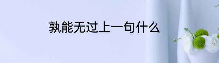 孰能无过上一句什么