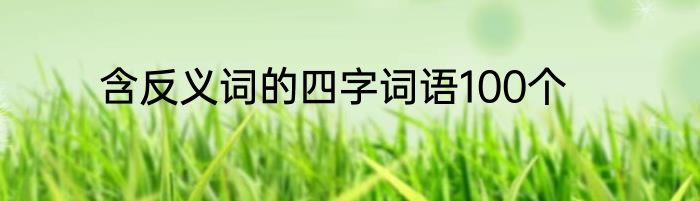 含反义词的四字词语100个