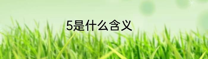 5是什么含义