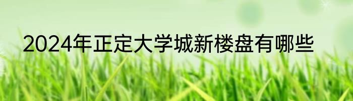 2024年正定大学城新楼盘有哪些