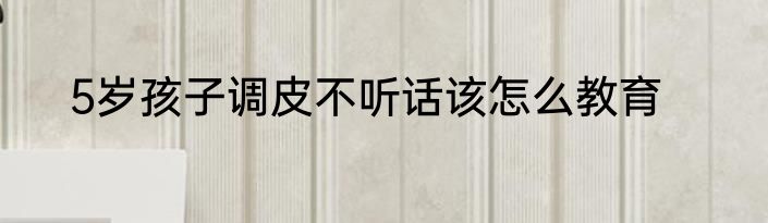 5岁孩子调皮不听话该怎么教育