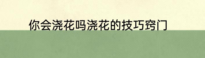 你会浇花吗浇花的技巧窍门