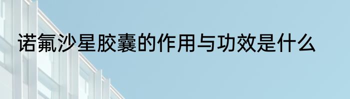 诺氟沙星胶囊的作用与功效是什么
