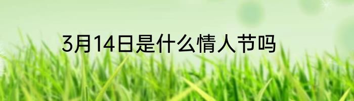3月14日是什么情人节吗