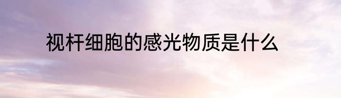 视杆细胞的感光物质是什么