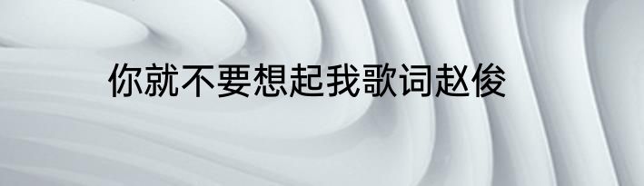 你就不要想起我歌词赵俊