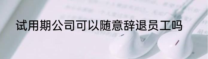 试用期公司可以随意辞退员工吗