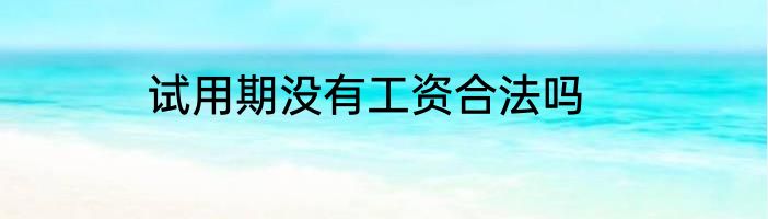 试用期没有工资合法吗