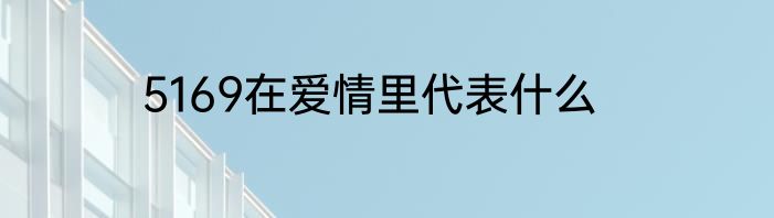 5169在爱情里代表什么