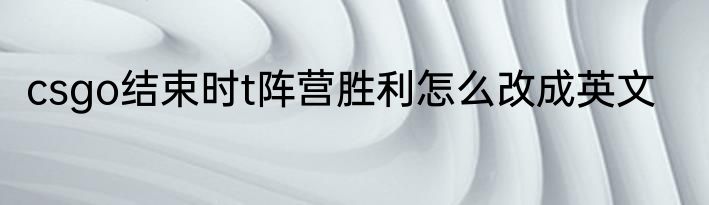 csgo结束时t阵营胜利怎么改成英文