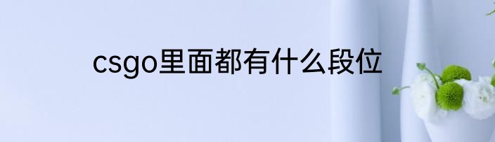 csgo里面都有什么段位