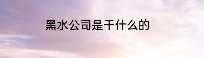 黑水公司是干什么的