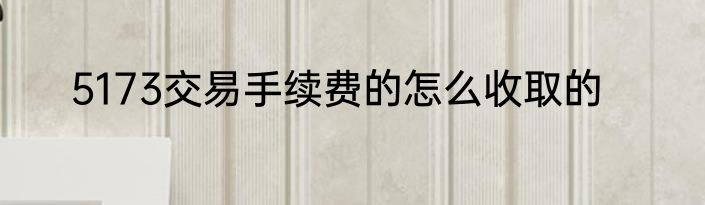 5173交易手续费的怎么收取的