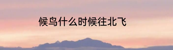 候鸟什么时候往北飞