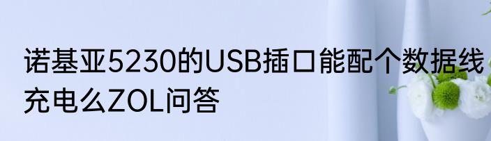 诺基亚5230的USB插口能配个数据线充电么ZOL问答