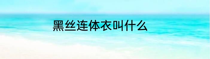 黑丝连体衣叫什么