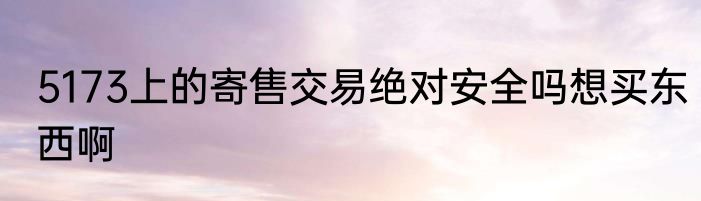 5173上的寄售交易绝对安全吗想买东西啊