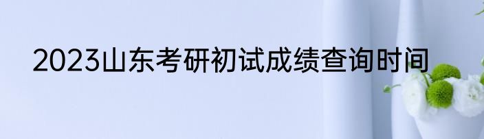 2023山东考研初试成绩查询时间