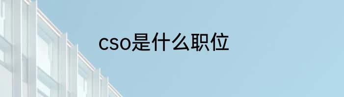 cso是什么职位