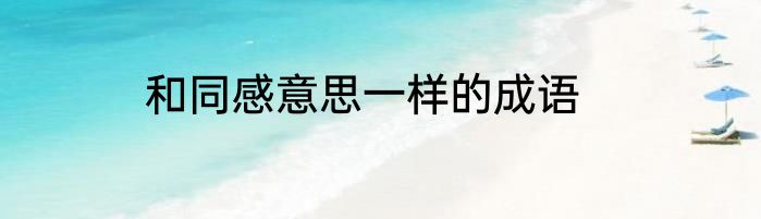 和同感意思一样的成语