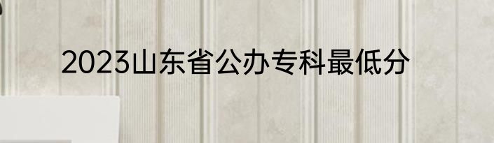 2023山东省公办专科最低分