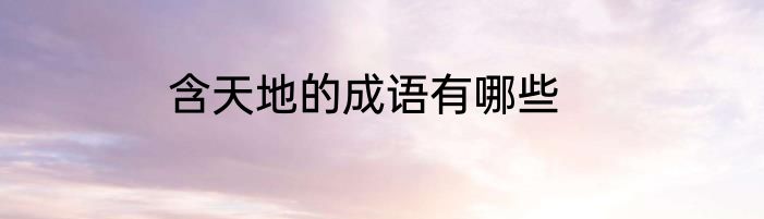 含天地的成语有哪些