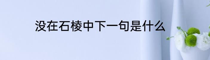 没在石棱中下一句是什么