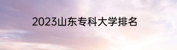 2023山东专科大学排名