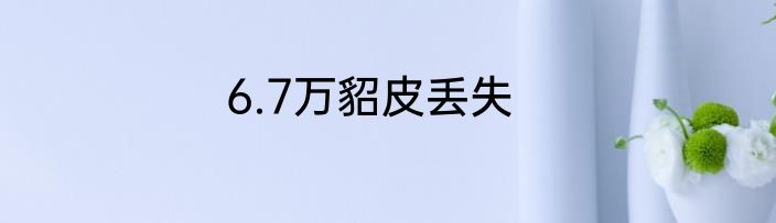 6.7万貂皮丢失
