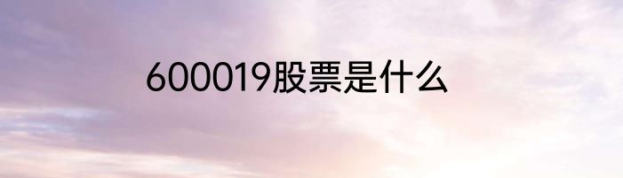 600019股票是什么