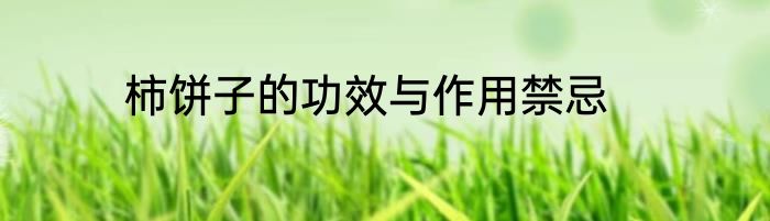 柿饼子的功效与作用禁忌