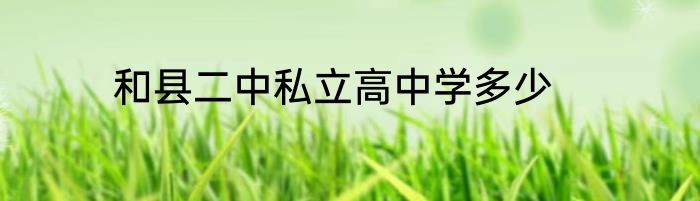 和县二中私立高中学多少