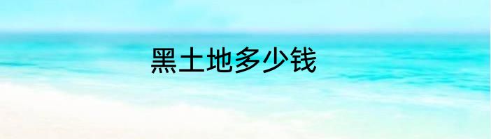 黑土地多少钱