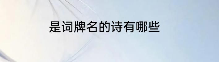 是词牌名的诗有哪些