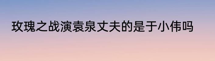 玫瑰之战演袁泉丈夫的是于小伟吗