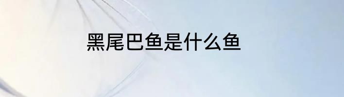 黑尾巴鱼是什么鱼