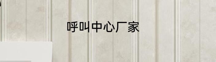 呼叫中心厂家