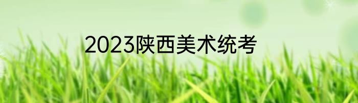 2023陕西美术统考