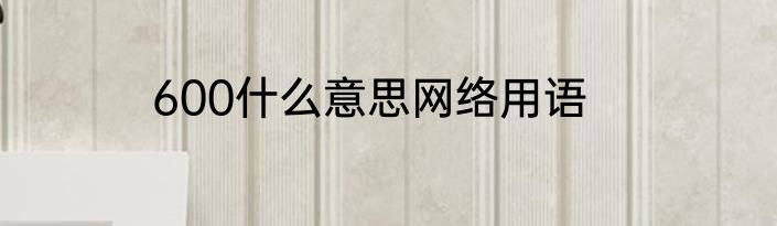 600什么意思网络用语